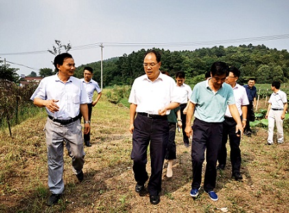 趙振華實(shí)地調(diào)研六國扶貧項目時要求    努力做強(qiáng)做優(yōu)集體產(chǎn)業(yè)   帶動更多群眾脫貧致富